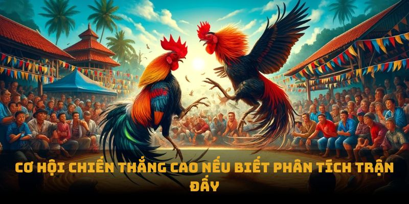 Cơ hội chiến thắng cao nếu biết phân tích trận đấu